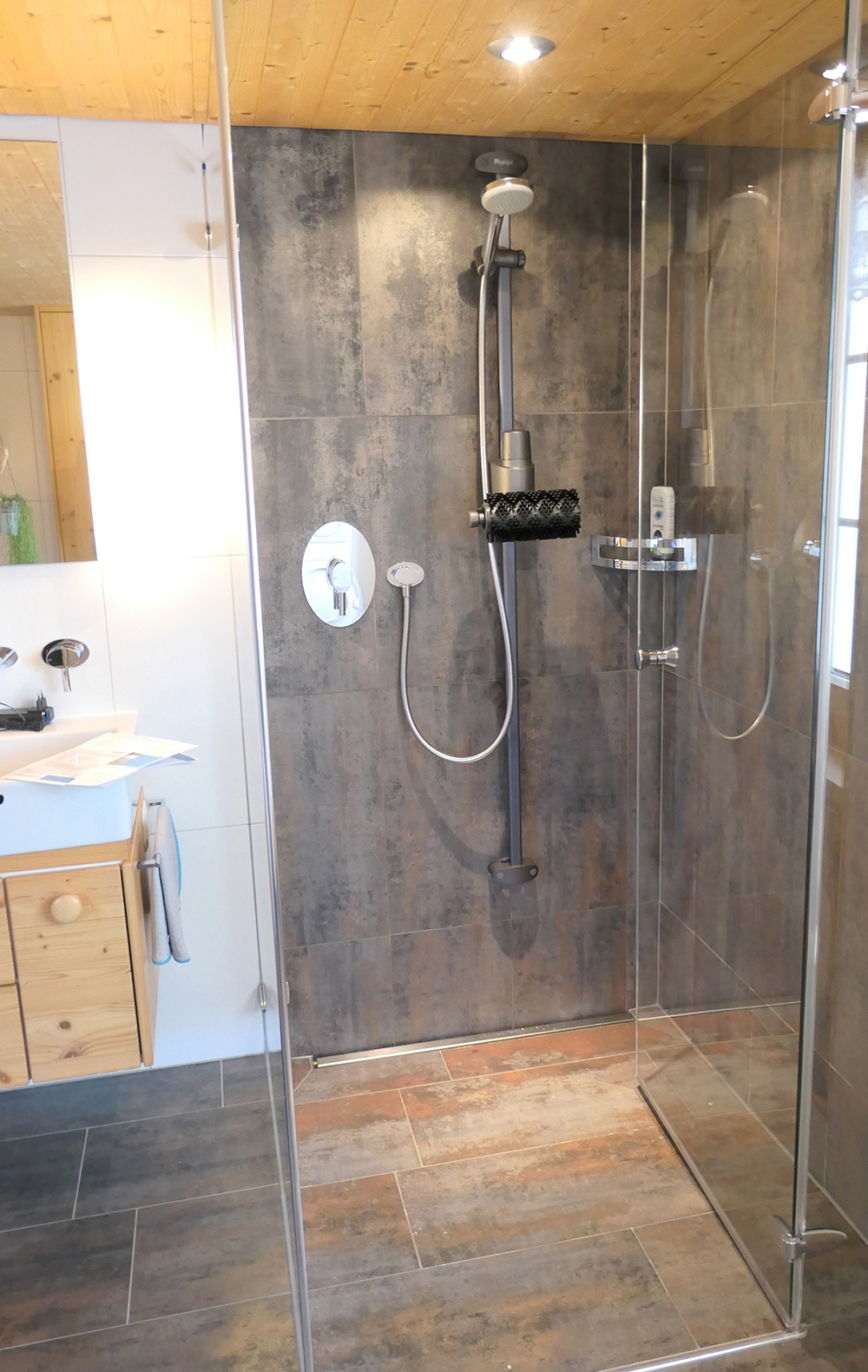 Shower brush